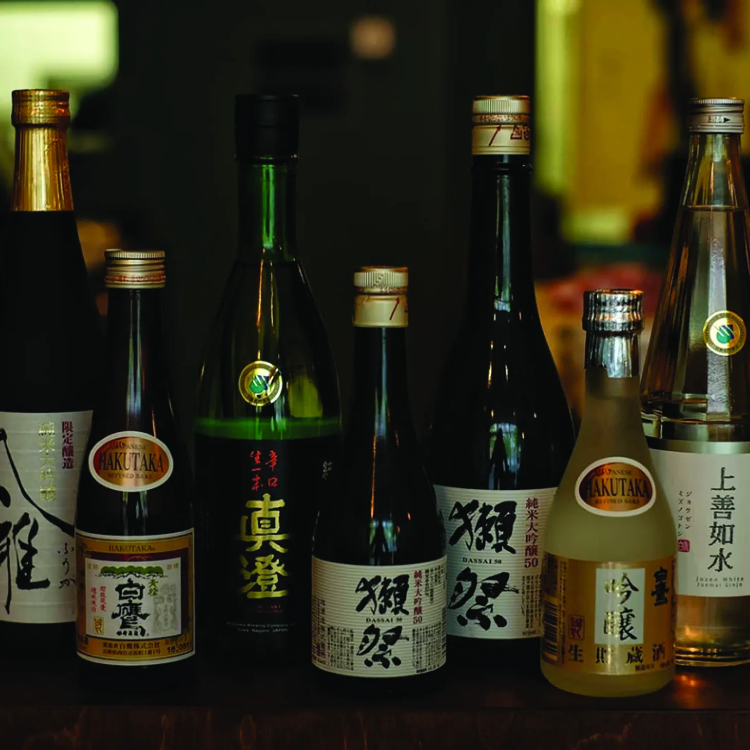 Kato — photo 35