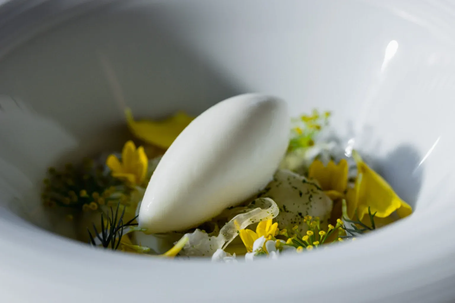 Soleil d’Or by David Geisser — photo 20