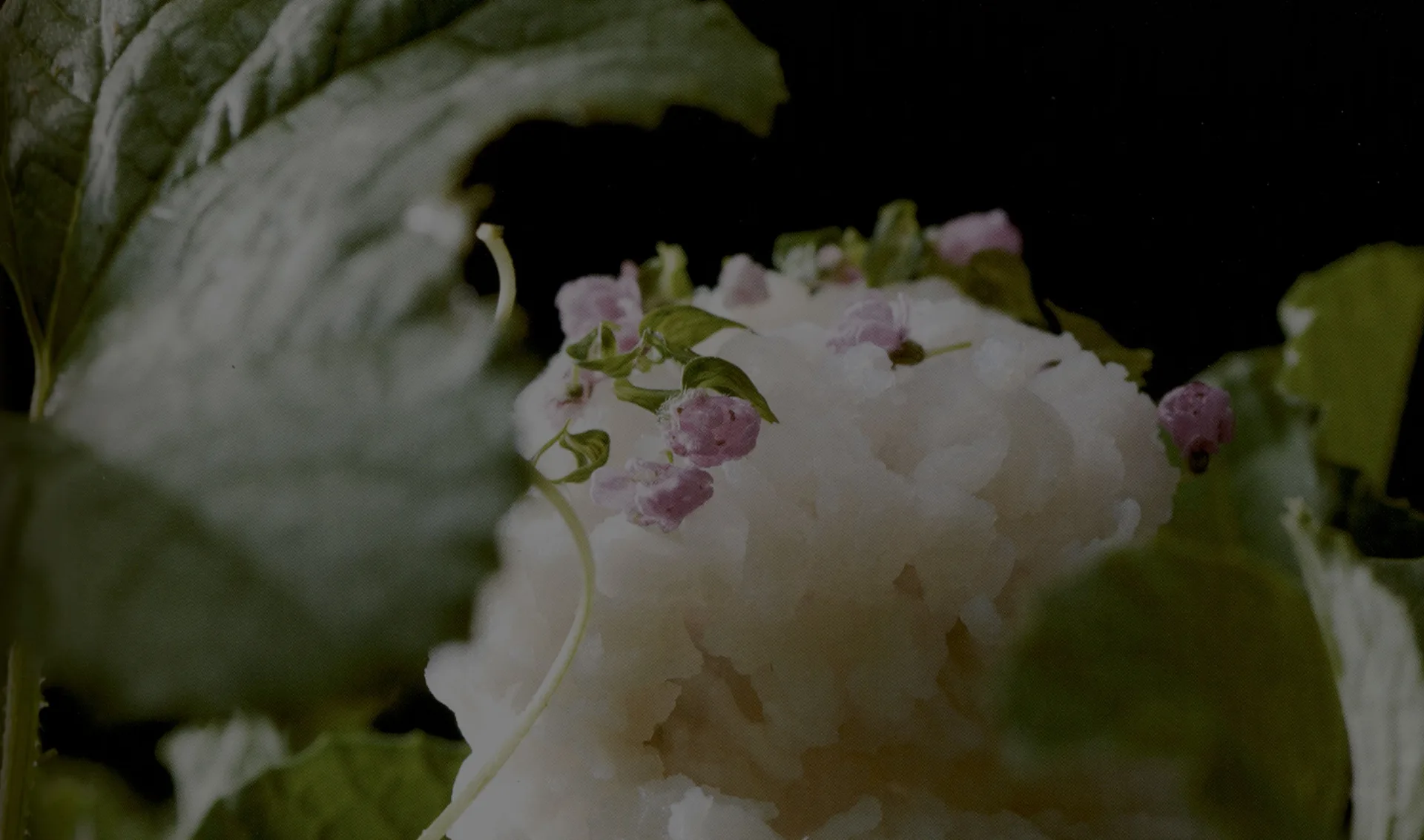 Kikunoi Roan — photo 9