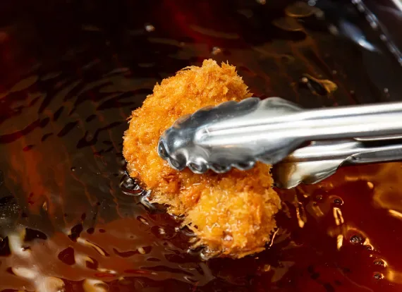 Tonkatsu KATSU Hana — photo 8