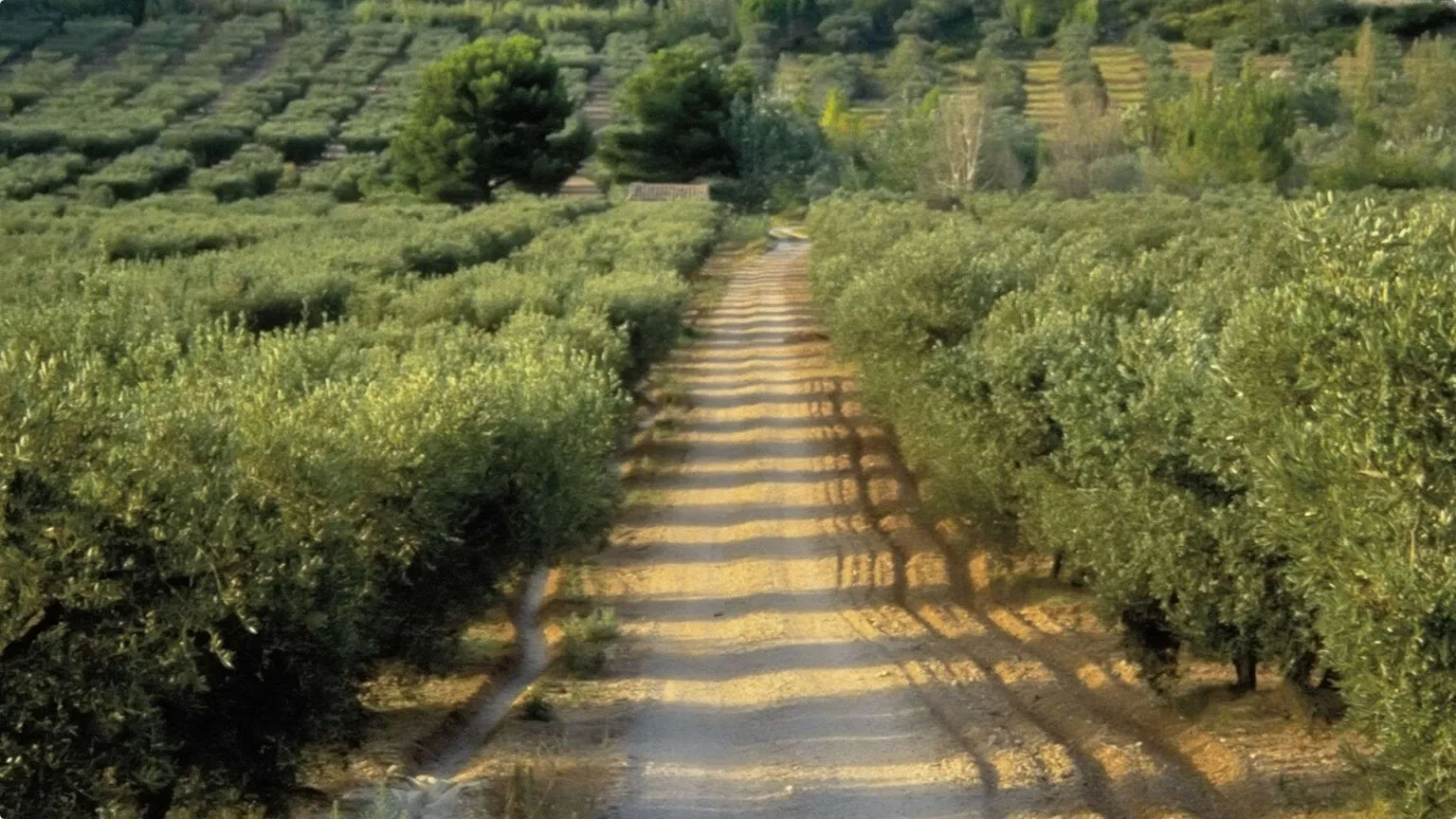 Belvédère — photo 18