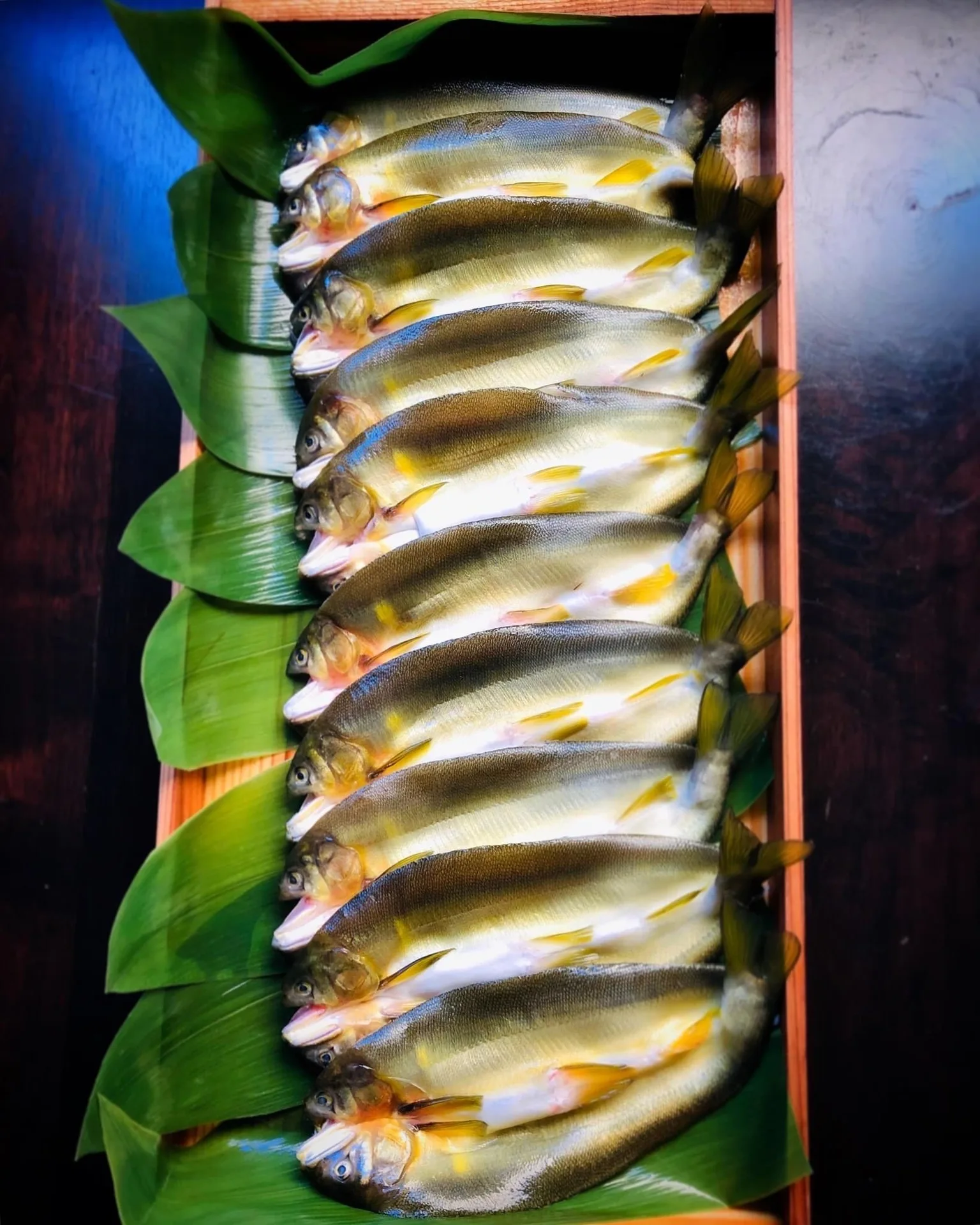 Yoichi’s — photo 34