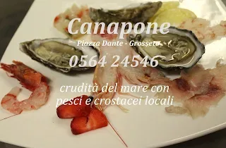 Canapone, Grosseto