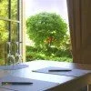 Restaurant Kalckreuth — atmosphere