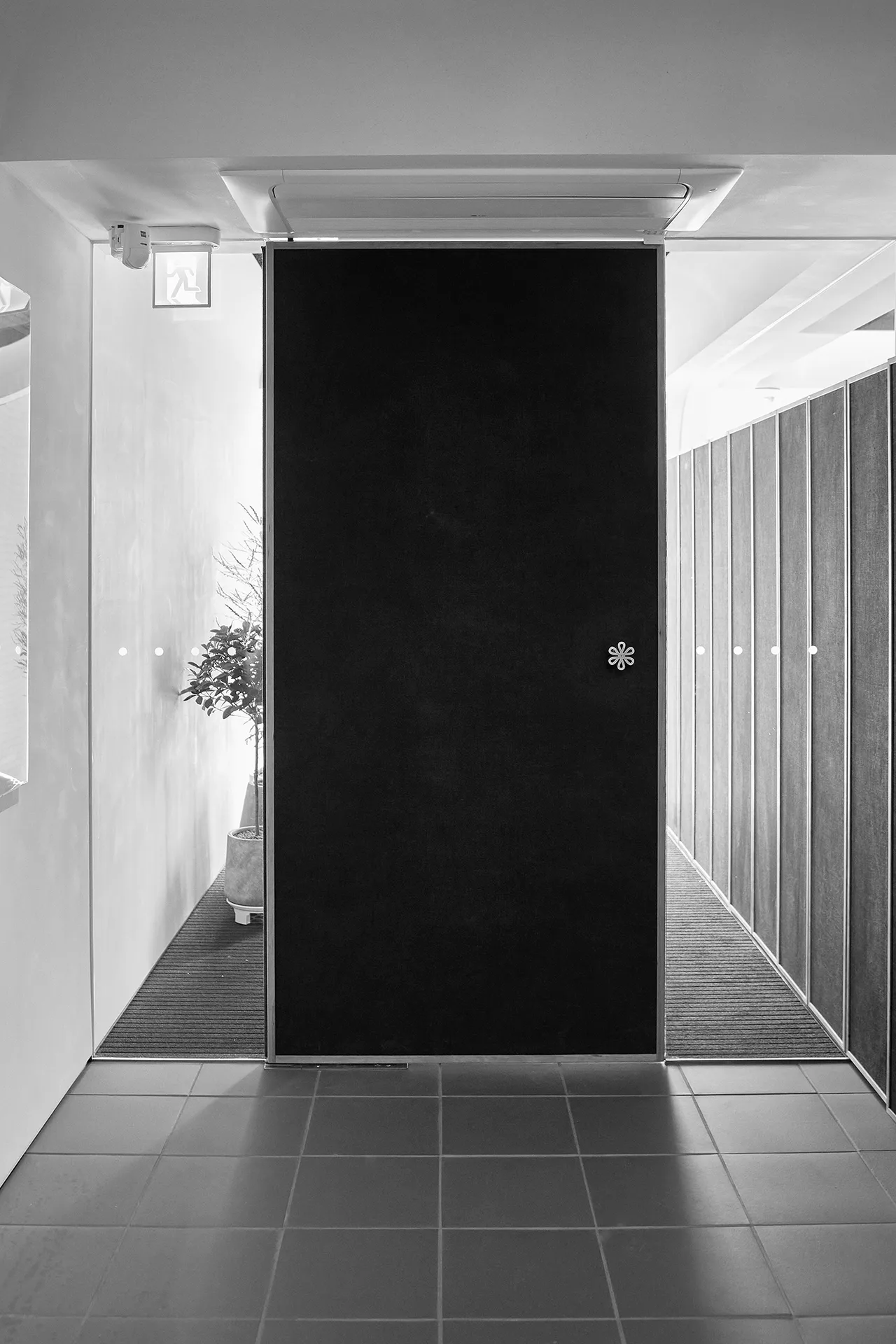 Mosu — photo 11