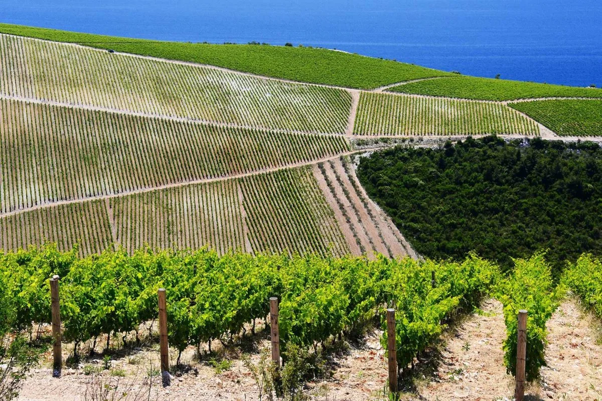 Kaštil Slanica — photo 109