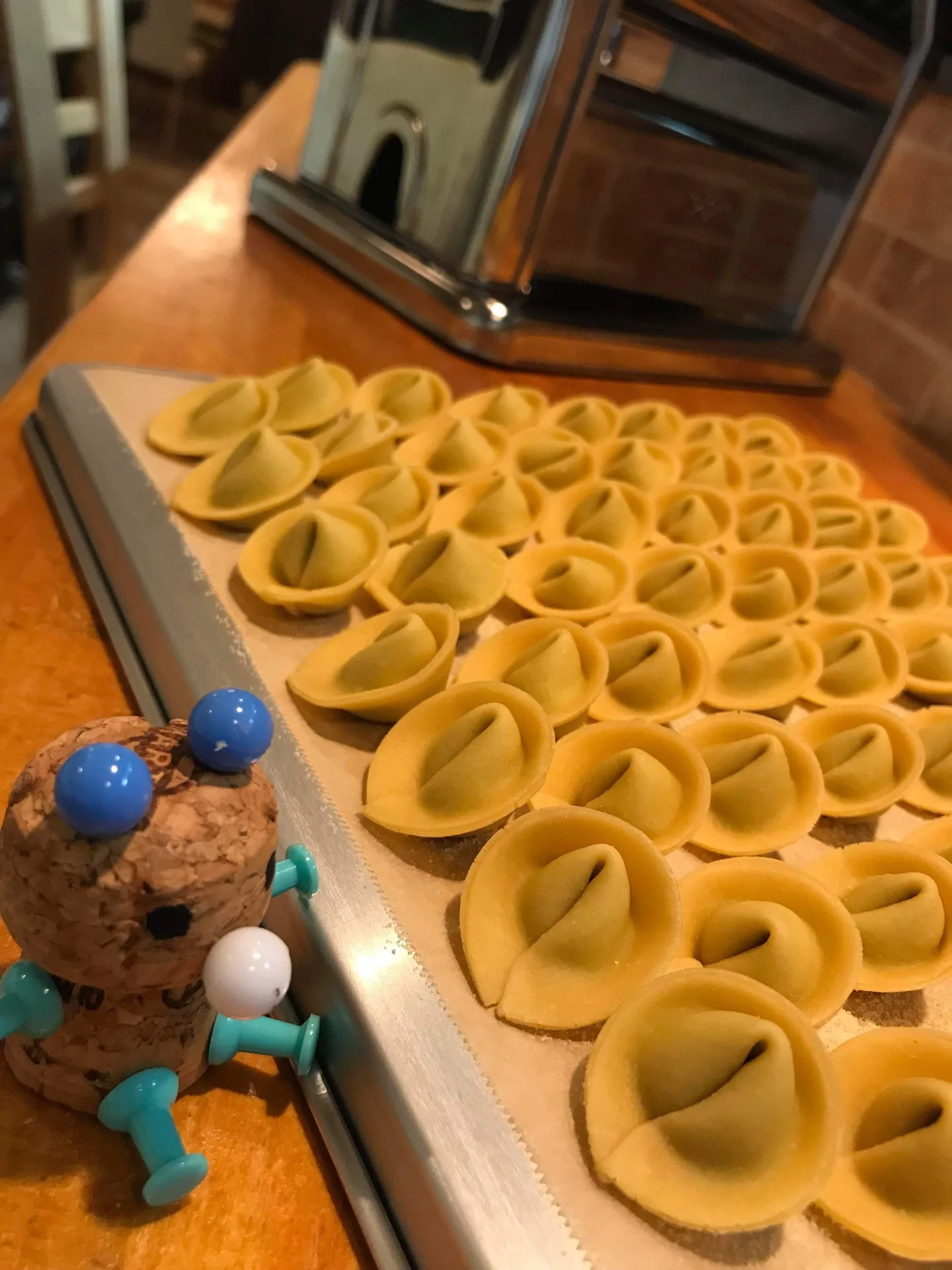 affetto akita — photo 32