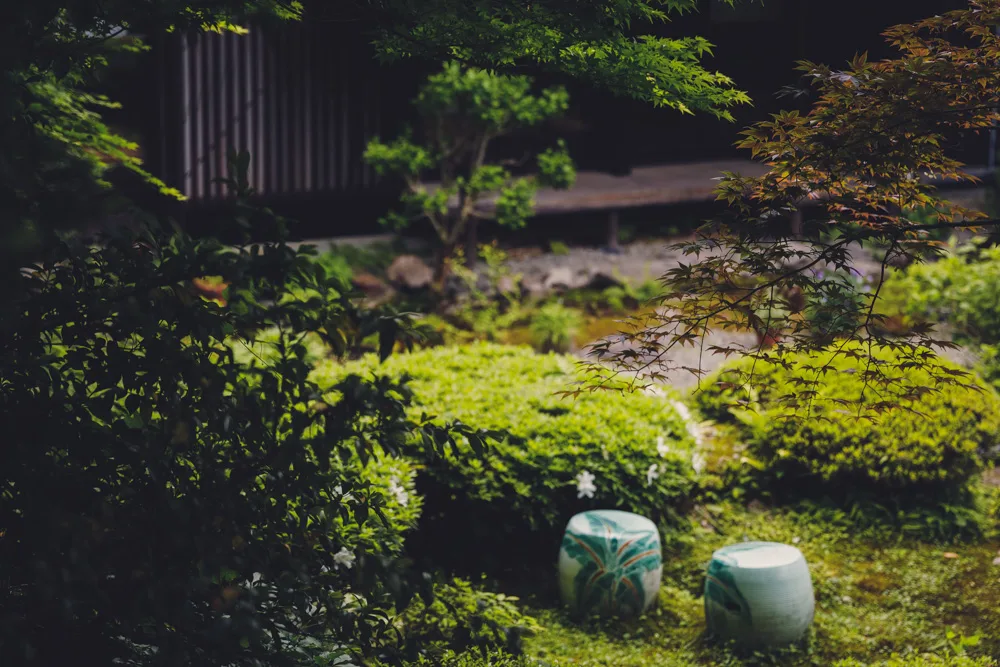 WATAYA — photo 101