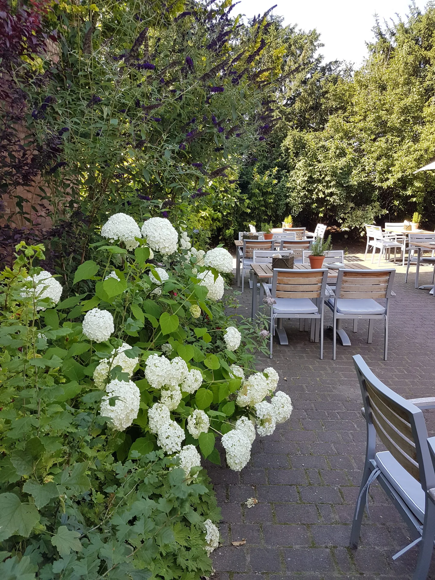 Landgasthof Pappelkrug — photo 44