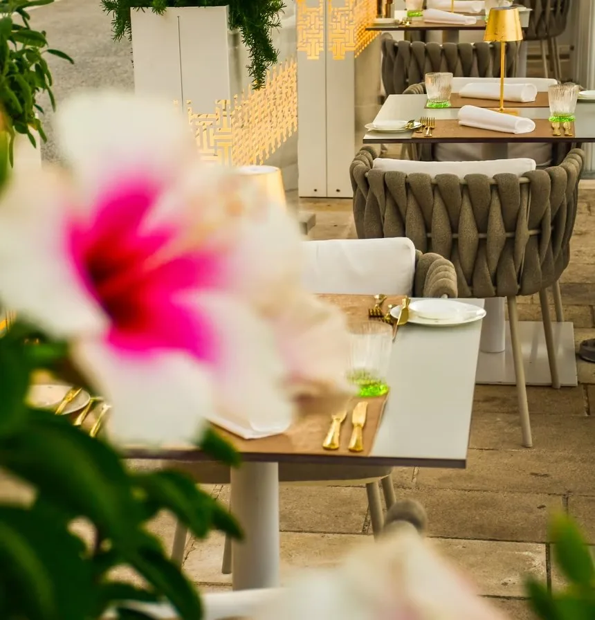 Lemongarden — photo 4