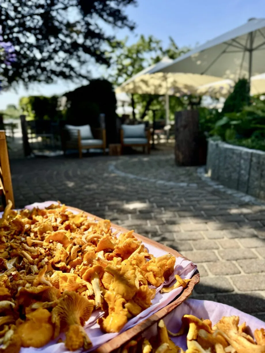 Gasthaus zur Post — photo 36