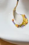 Somni, Beverly Hills