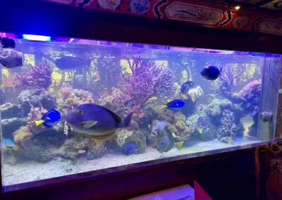 China-Restaurant Tang — photo 10