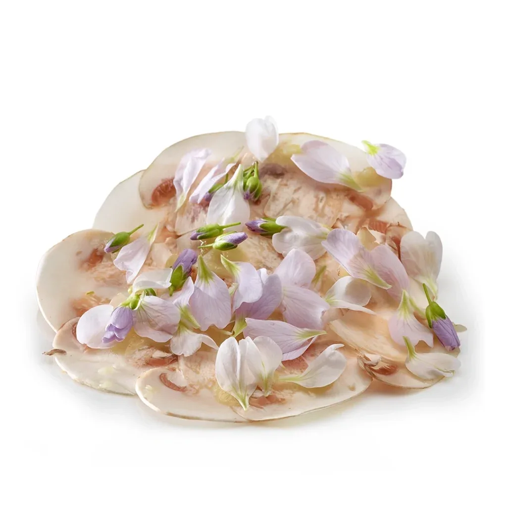 Mugaritz — photo 16