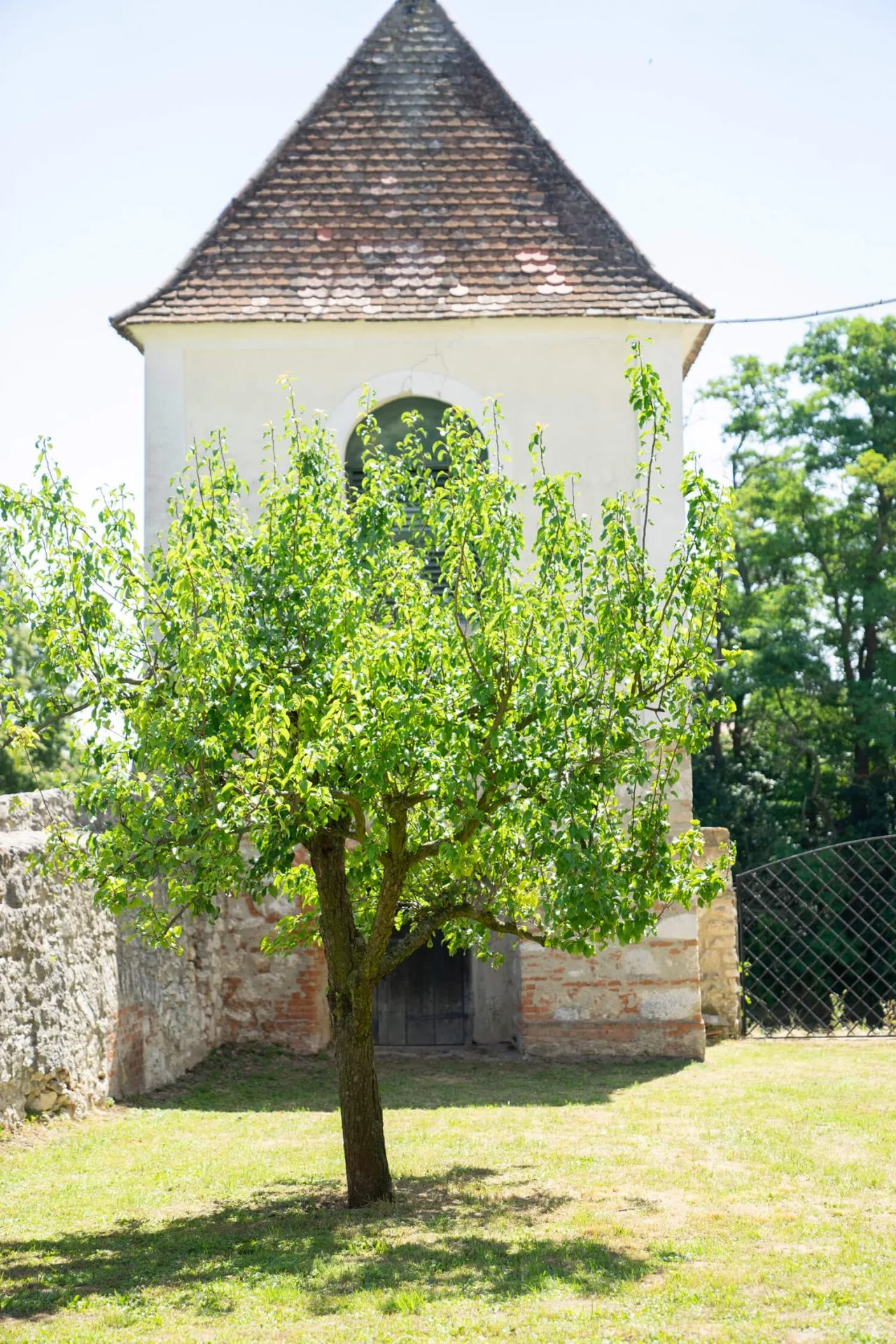 Weindomizil Hagn — photo 94