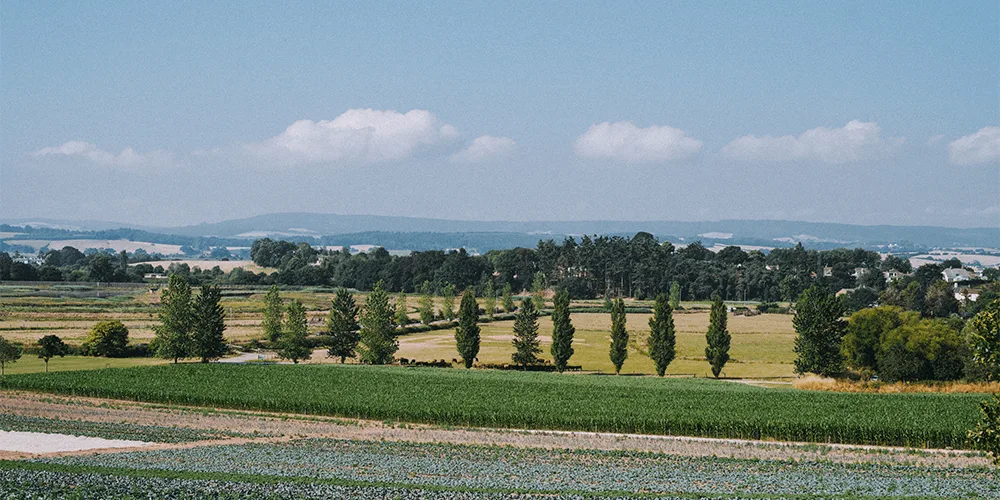 The Farm Table — photo 14