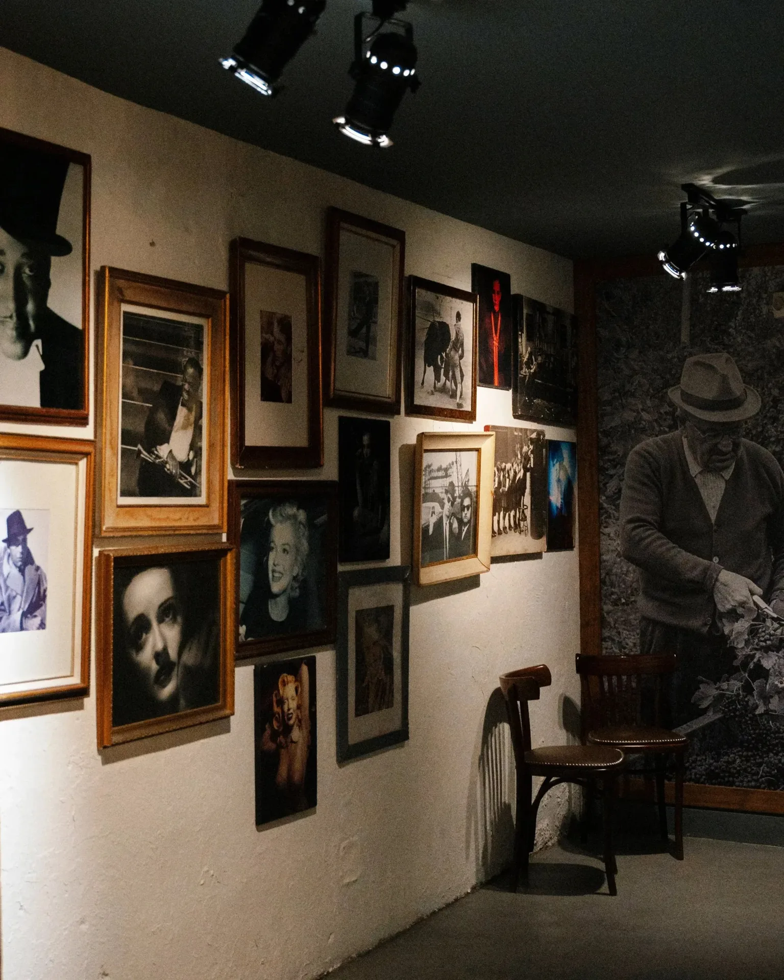 Osteria — photo 20