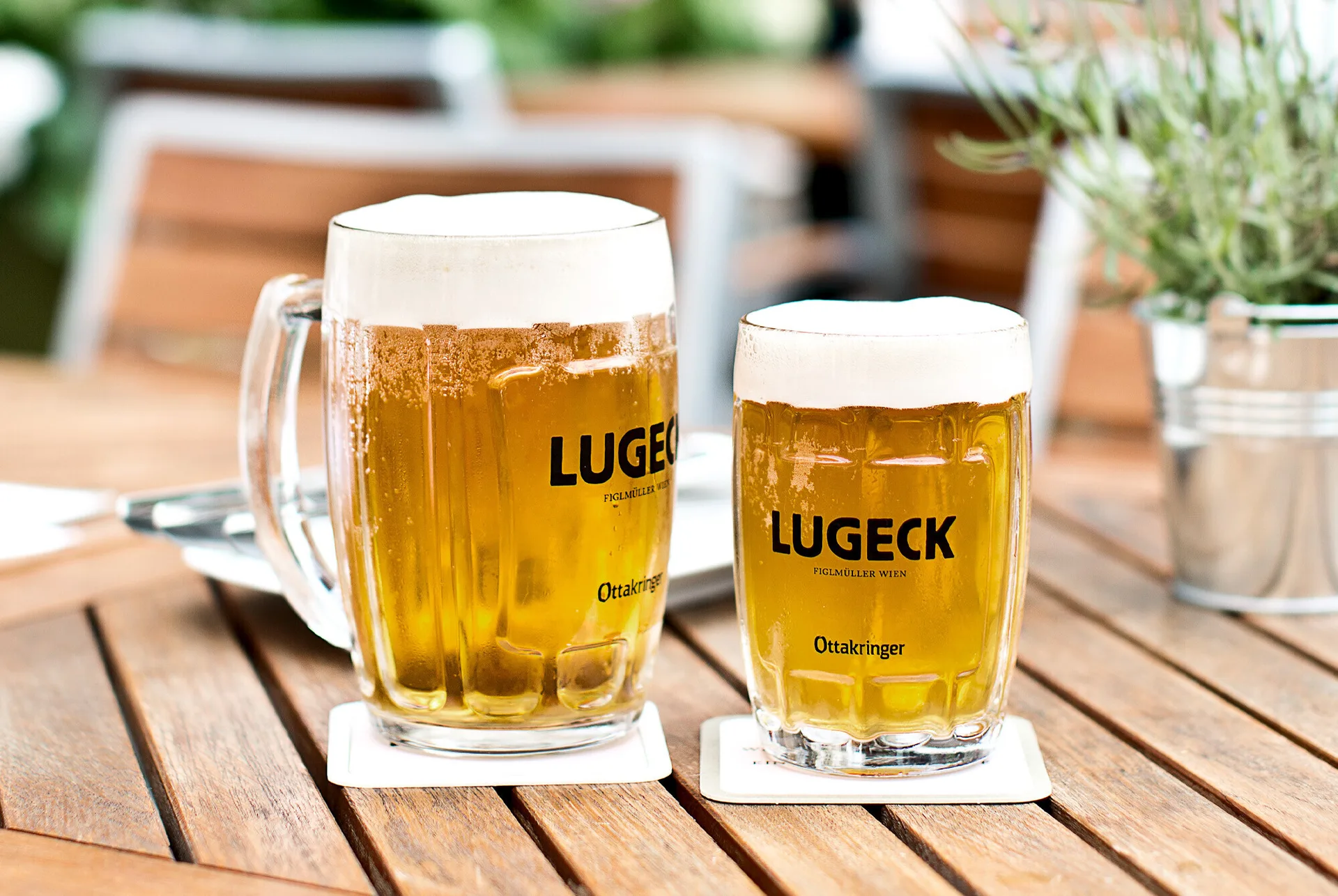 Lugeck — photo 22