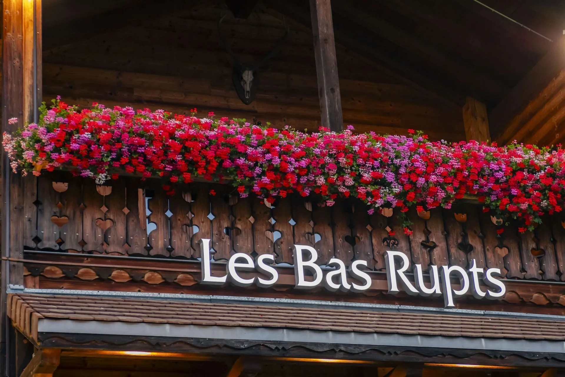 Les Bas-Rupts — photo 16