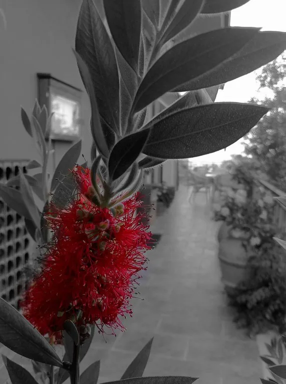 Locanda della Luna — photo 59