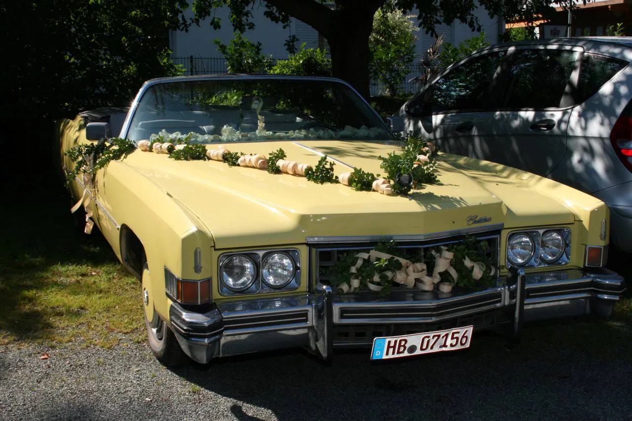 Nobel Moordeich — photo 49