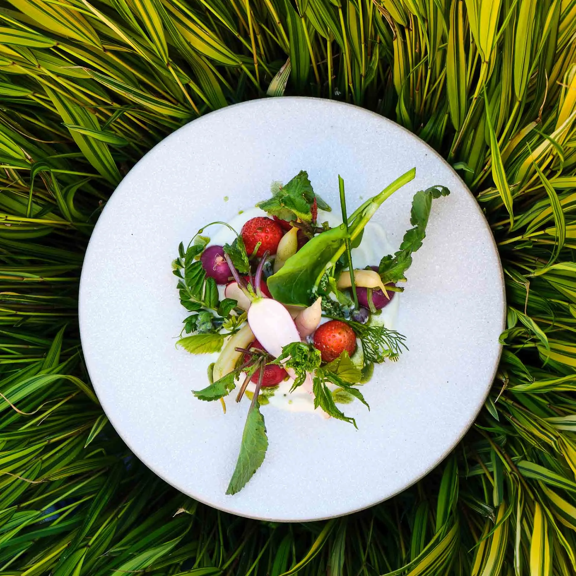 Robert Stolz eat.share.live — photo 80