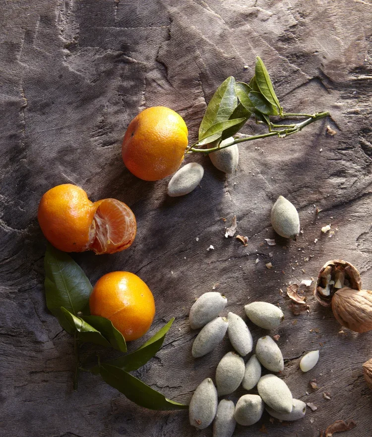 Via Carota — photo 24