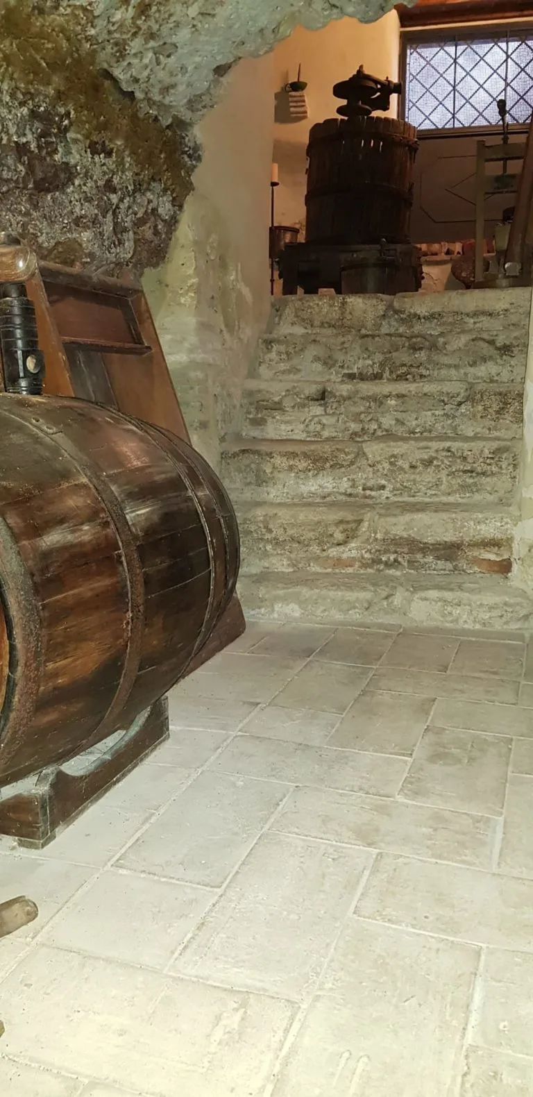 Tenuta del Gallo — photo 73