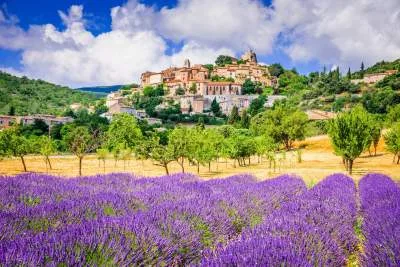 La Bastide Bourrelly - Mathias Dandine — photo 11