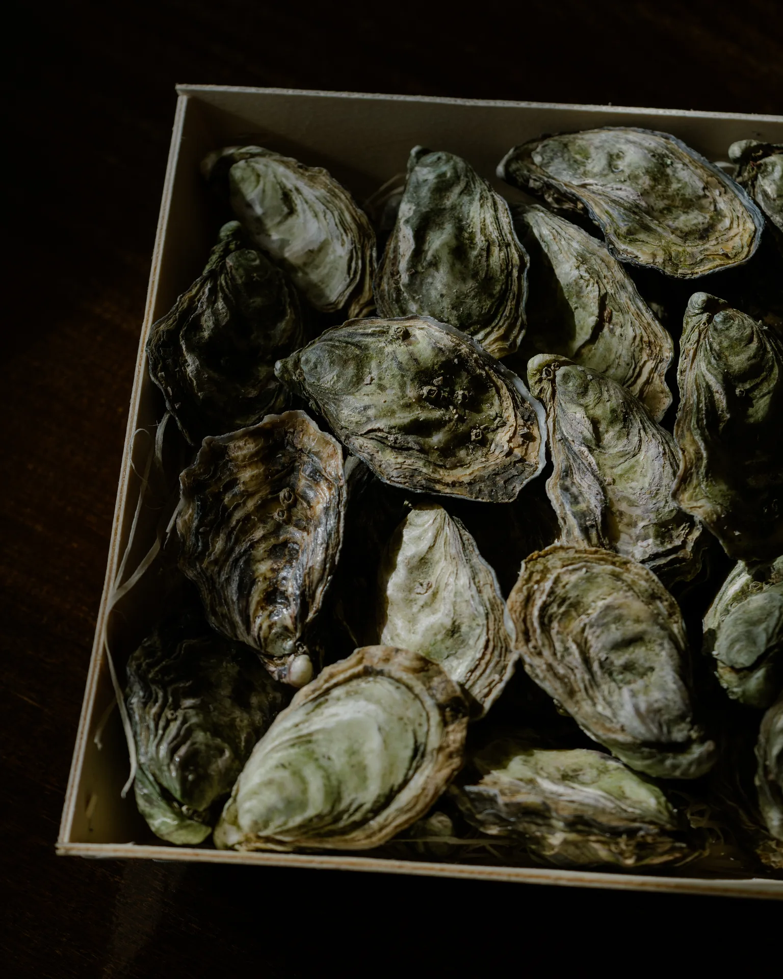 D'Oude Jachthaven — photo 40