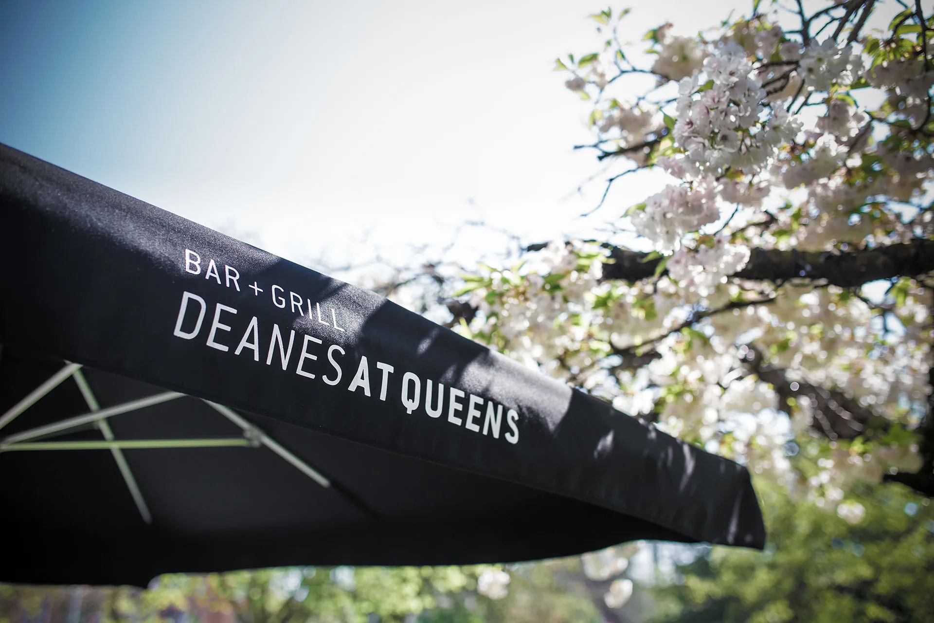 Deanes at Queens — photo 20
