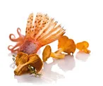 Restavracija CUBO — food