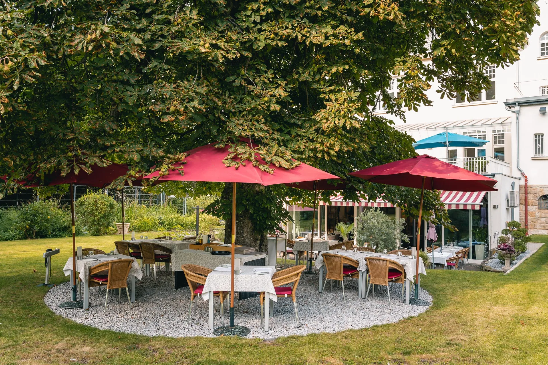 Ristorante Forissimo — photo 31