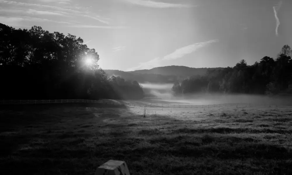 The Barn at Blackberry Farm — photo 10