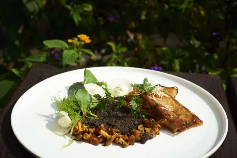 Polster Gourmet-Restaurant — food