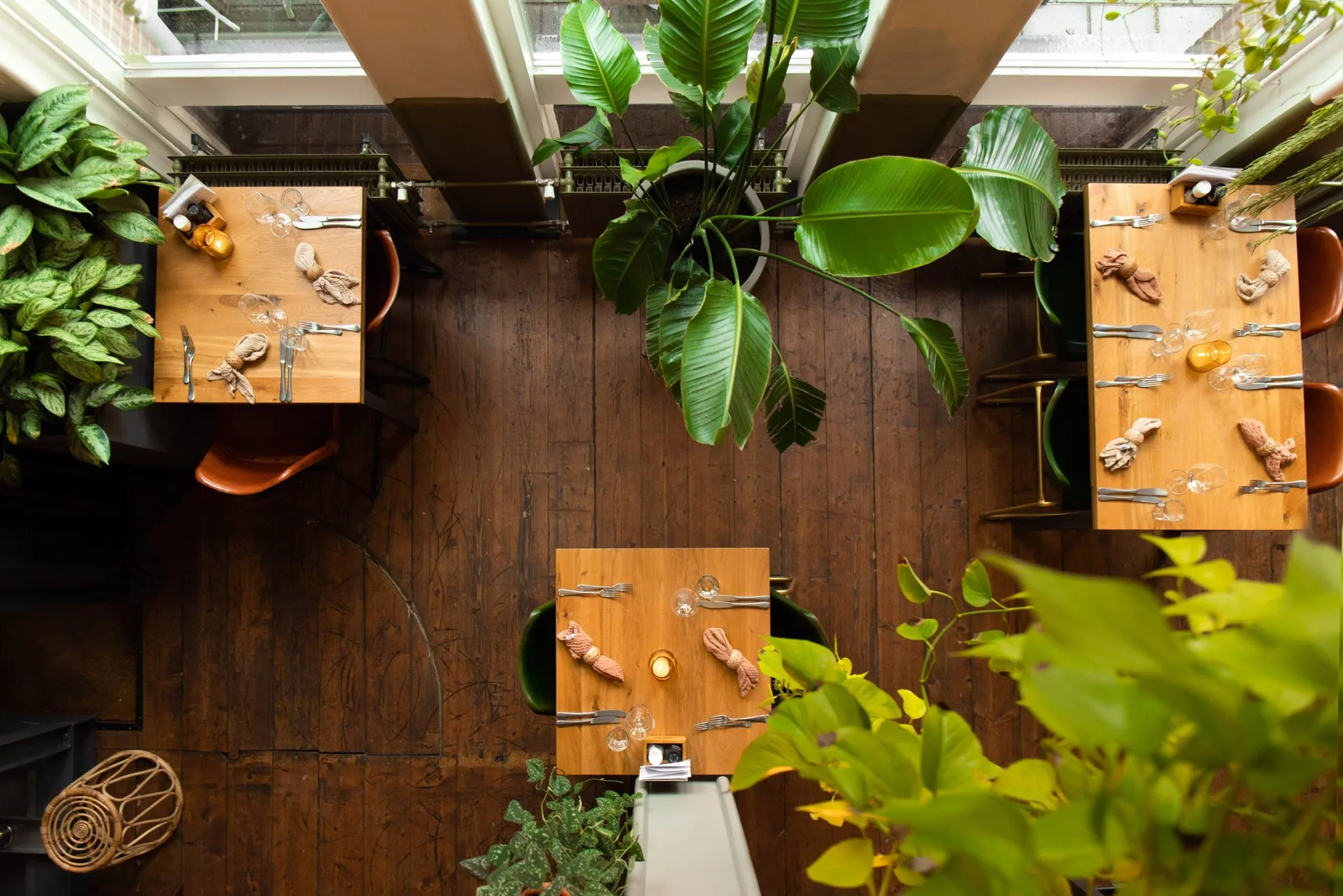 Dokjard — photo 4