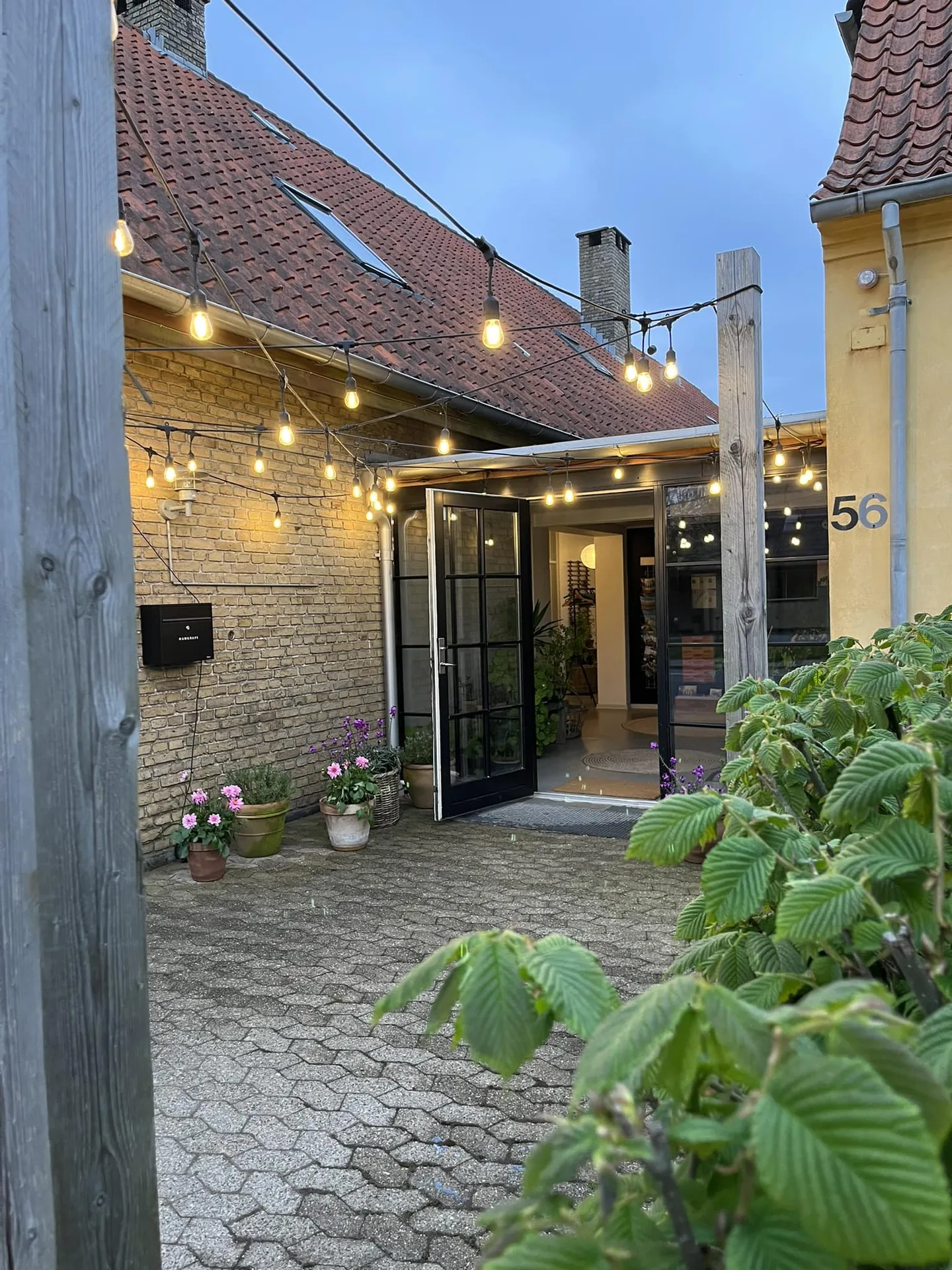 Sola — photo 45