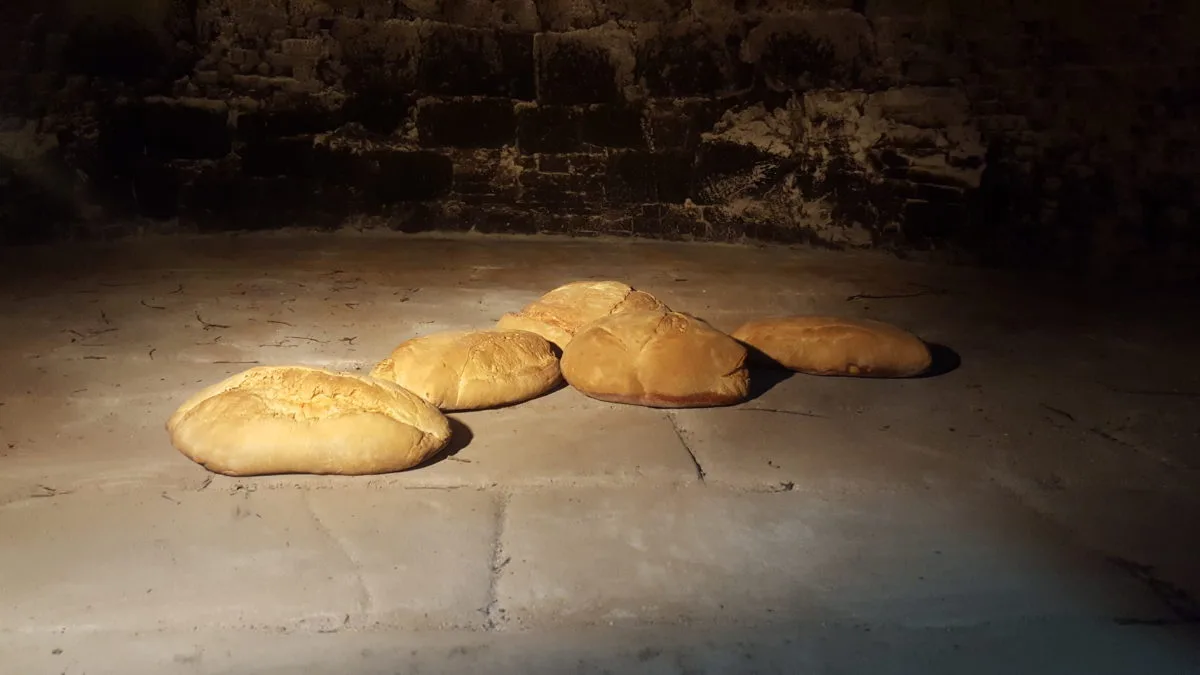 Pane & Olio — photo 16
