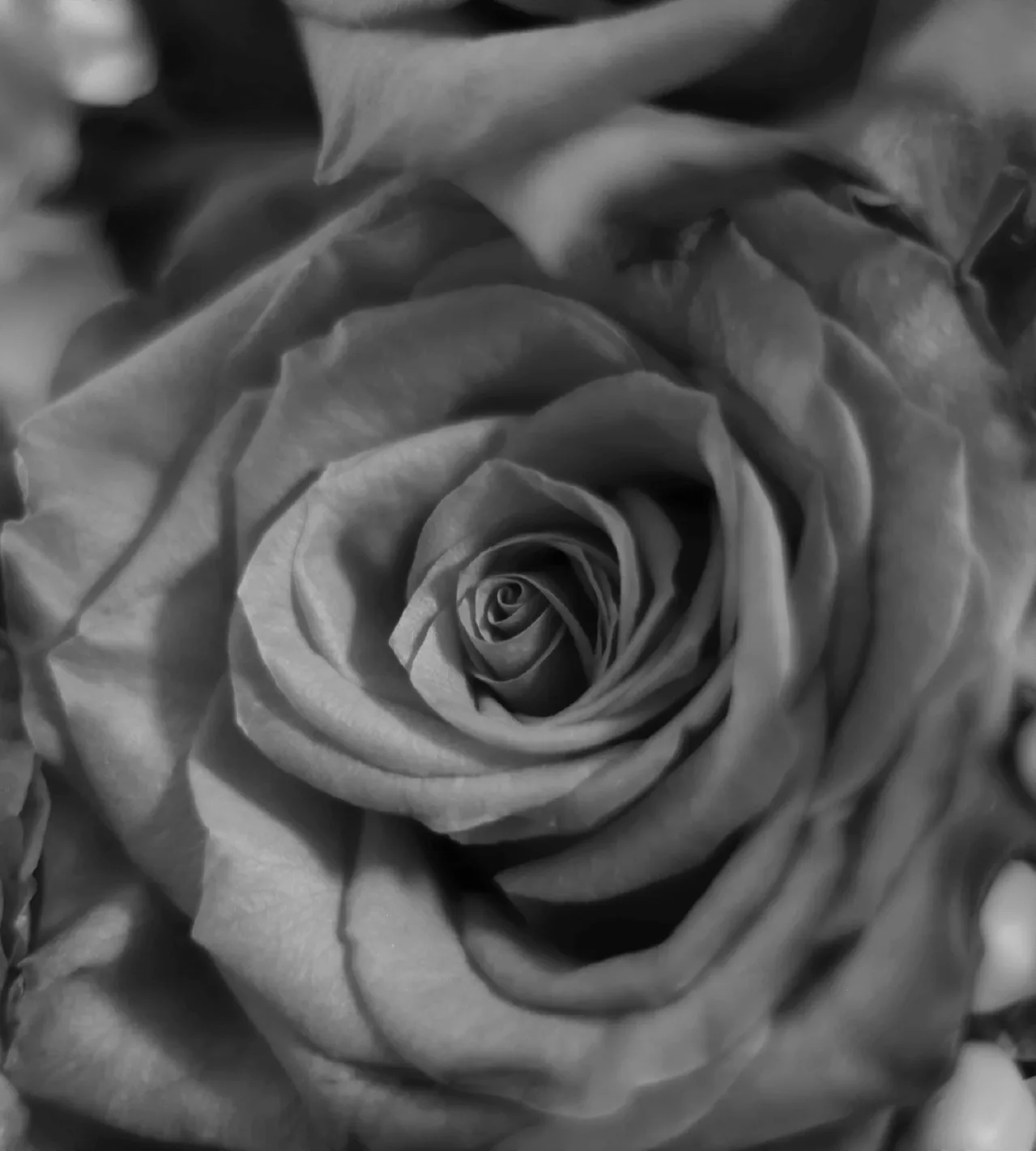 AMOUR — photo 20