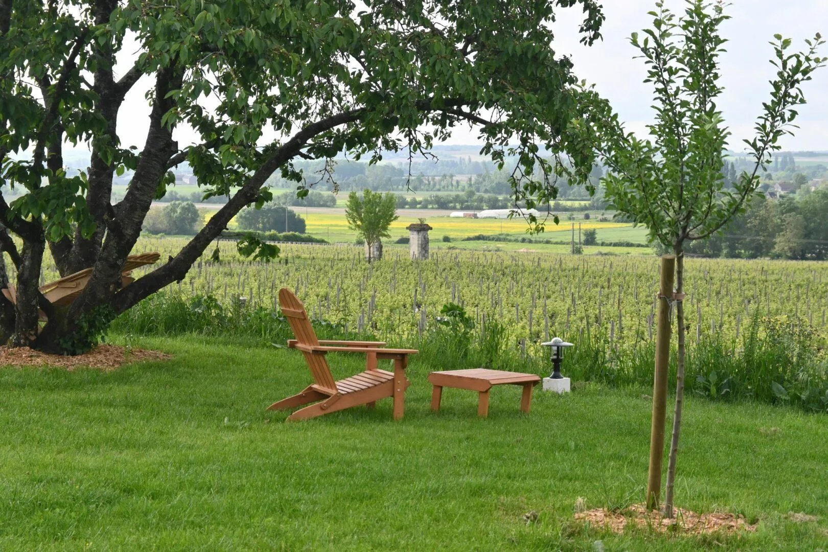 La Table du Pressoir — photo 84
