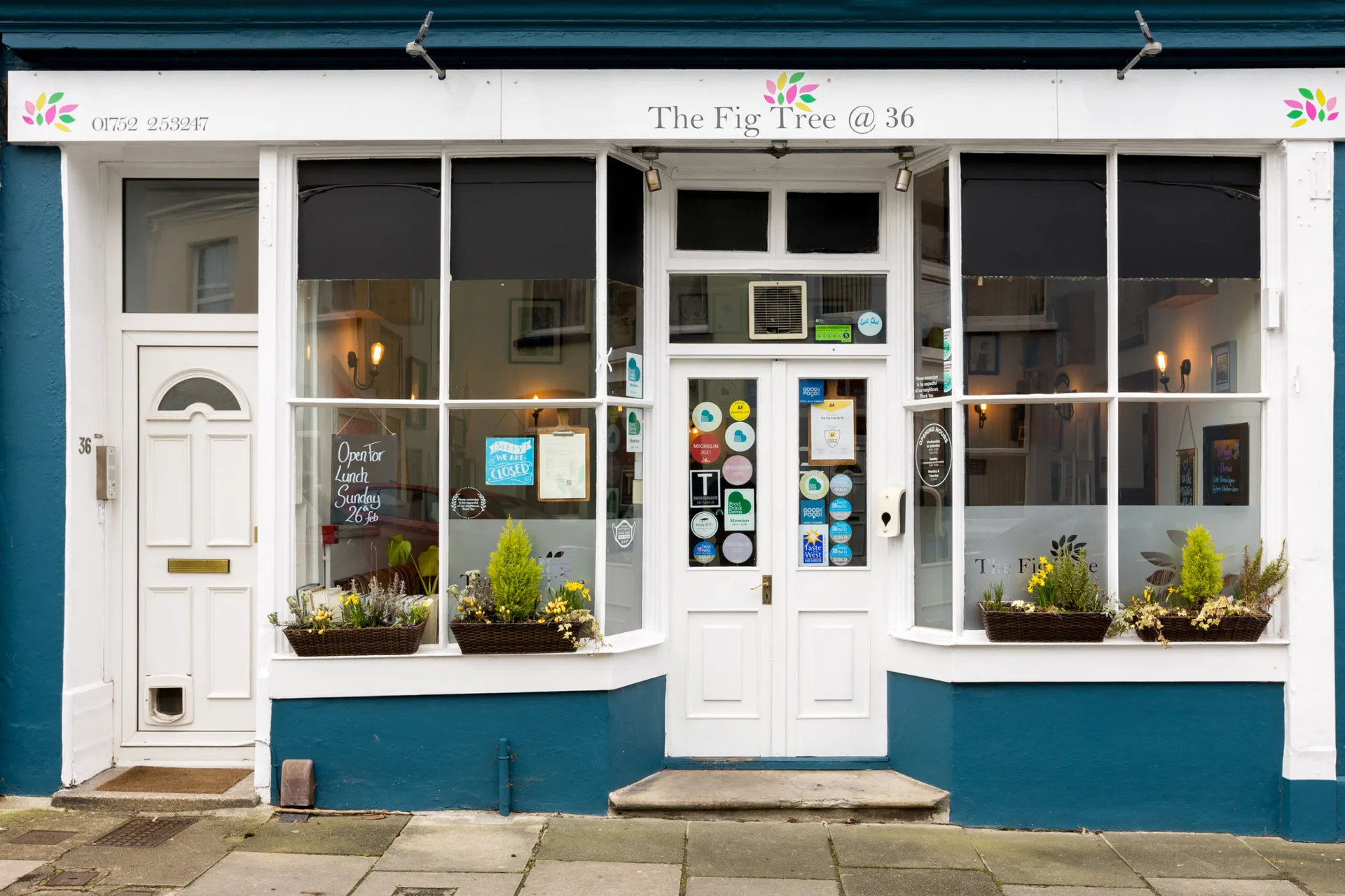 The Fig Tree @ 36 — photo 31