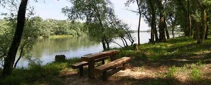 Višnjica — photo 4