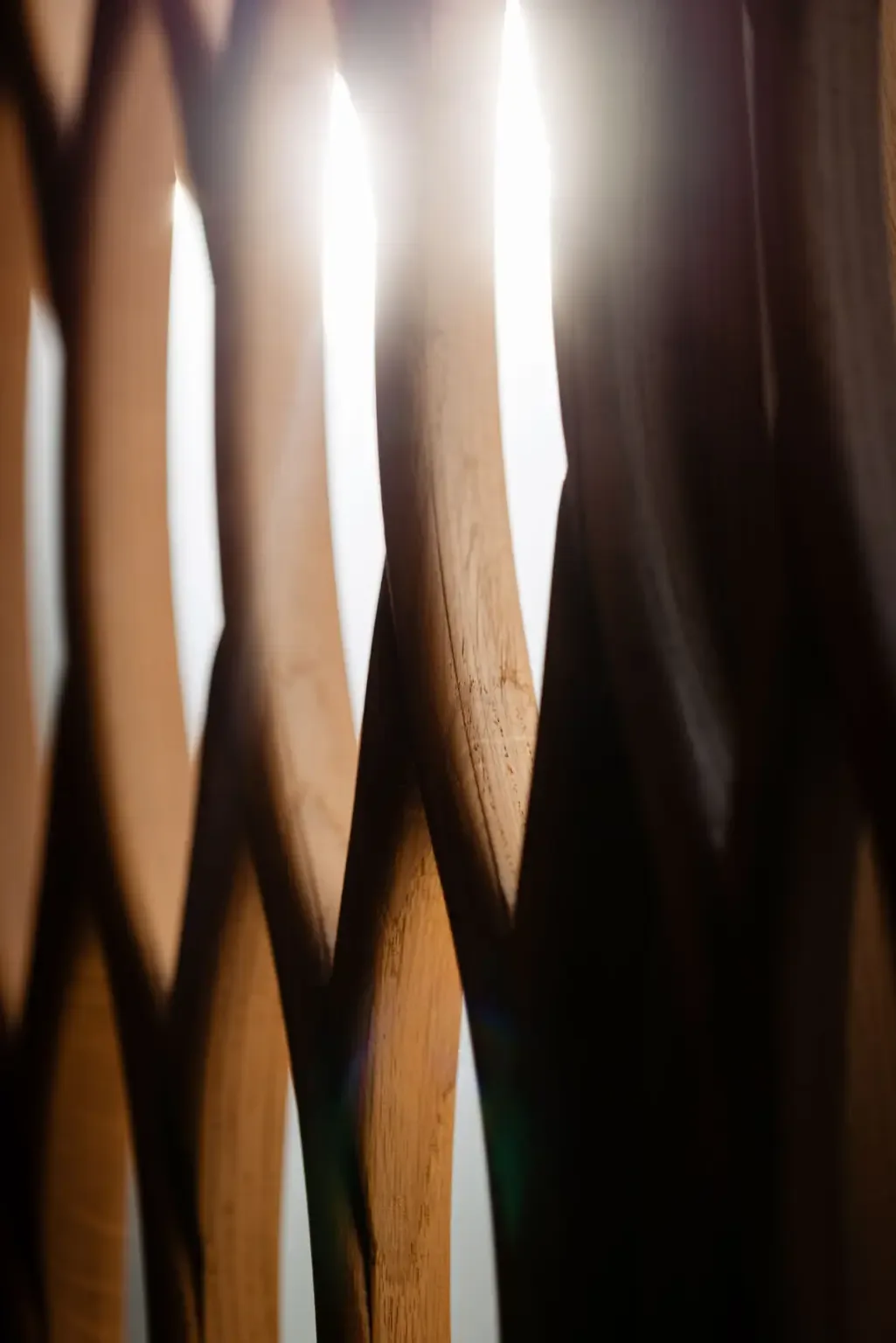 Soleil d’Or by David Geisser — photo 7