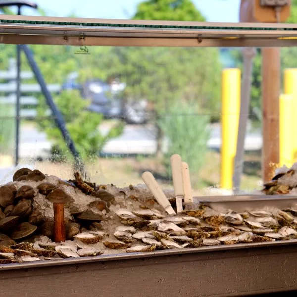 Matunuck Oyster Bar — photo 21