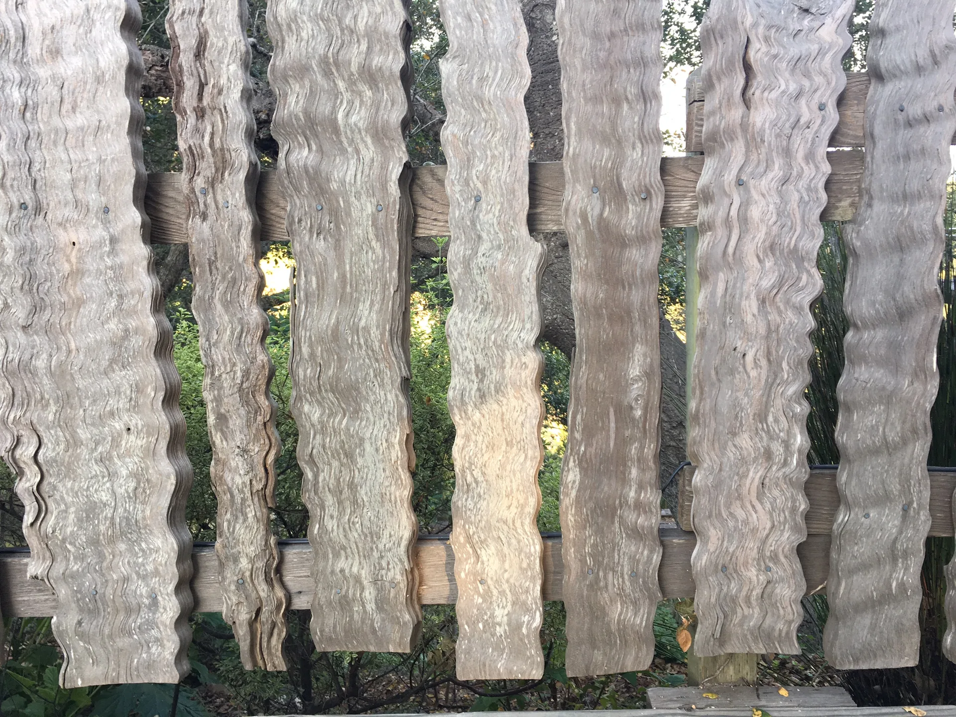 Nepenthe — photo 15
