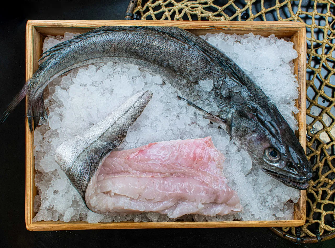 Atlantik Fisch — photo 89