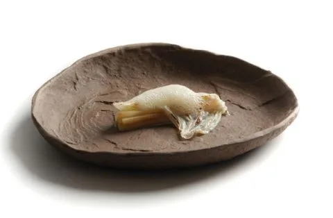 Origen — food
