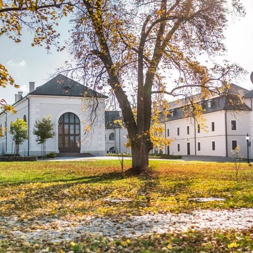 Reštaurácia SONGE Chateau Appony — photo 35