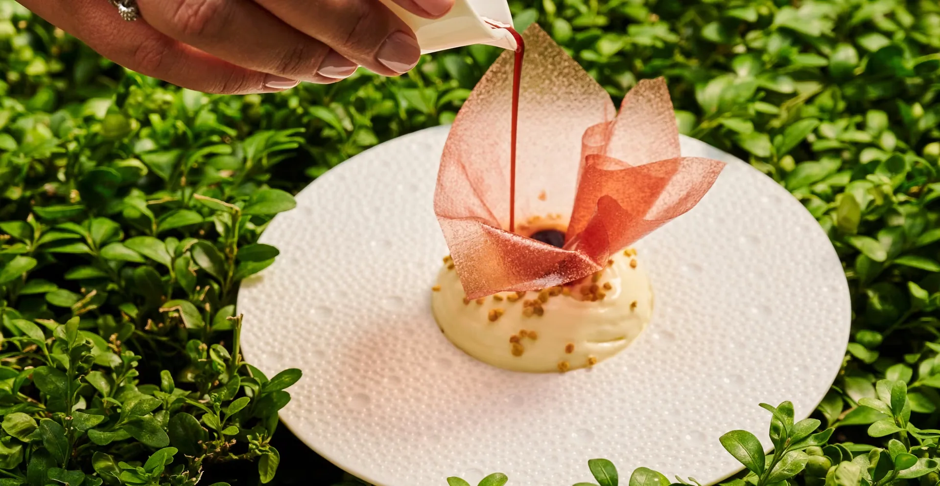 Maison Boulud — photo 22