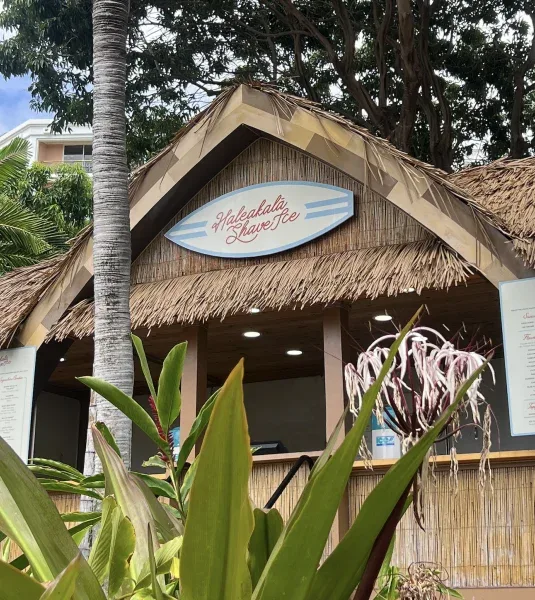 Humuhumunukunukuapua'a — photo 32